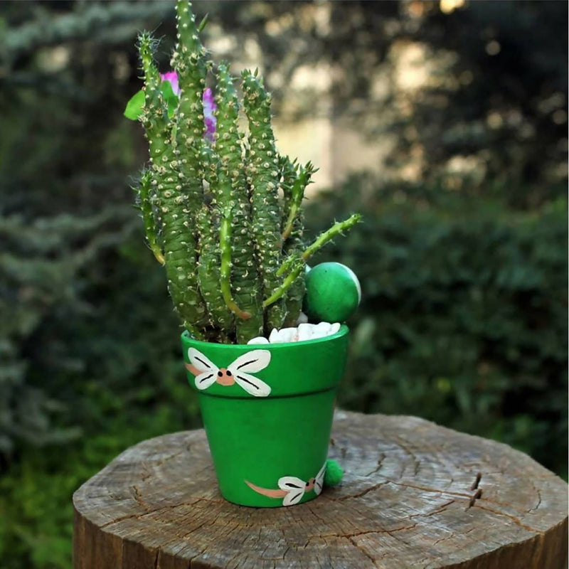 The Froggy Pot