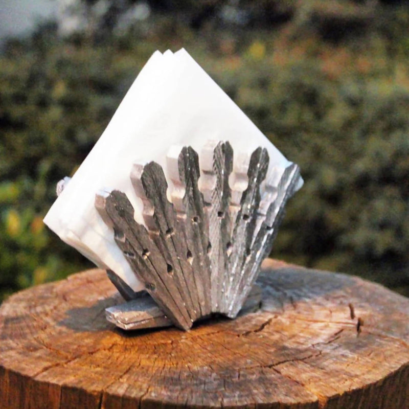 Clothpins tissue holder