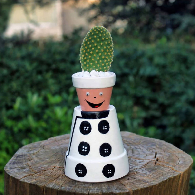 The Chef Pot